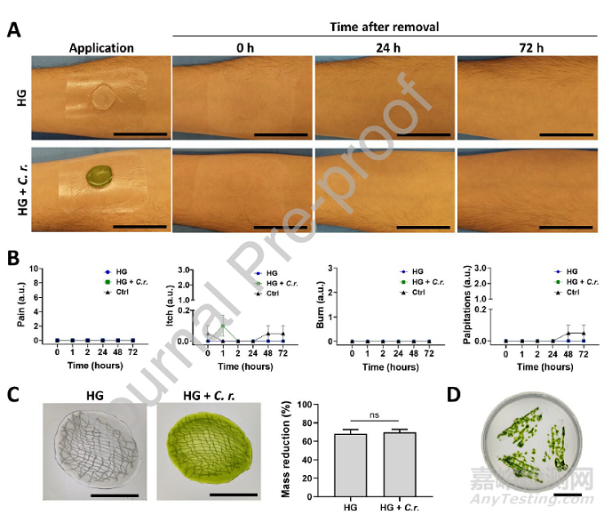 可輸送氧氣和生物活性分子的光合水凝膠敷料
