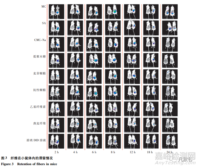 纖維素類藥物輔料對藥物釋放的影響
