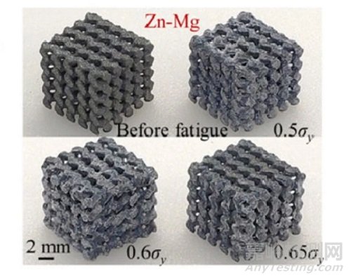 增材制造提升生物降解金屬植入物腐蝕疲勞性能