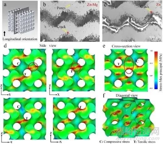 增材制造提升生物降解金屬植入物腐蝕疲勞性能