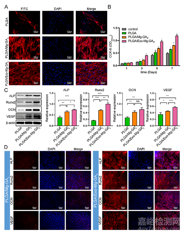 具有成骨、血管生成和抗炎特性的外泌體功能化鎂有機框架支架可加速骨再生