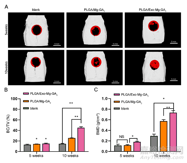 具有成骨、血管生成和抗炎特性的外泌體功能化鎂有機框架支架可加速骨再生