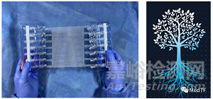 T-Line Hernia Mesh：具有縫合功能的疝氣補片