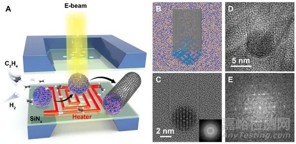 高熔點(diǎn)合金催化劑生長(zhǎng)碳納米管機(jī)理研究取得新進(jìn)展