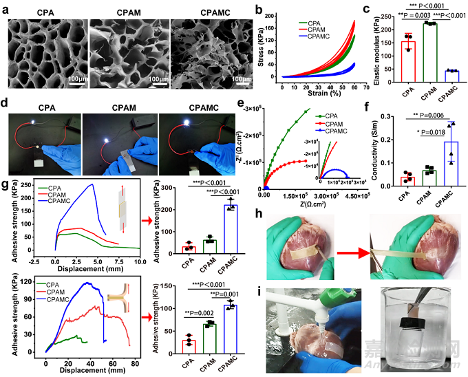 一種用于非侵入性心肌修復和防止術(shù)后組織粘連的智能黏附性Janus水凝膠