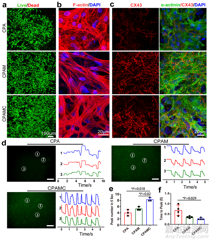 一種用于非侵入性心肌修復和防止術(shù)后組織粘連的智能黏附性Janus水凝膠