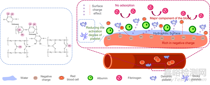 同軸打印小直徑人工血管方面取得重要進(jìn)展