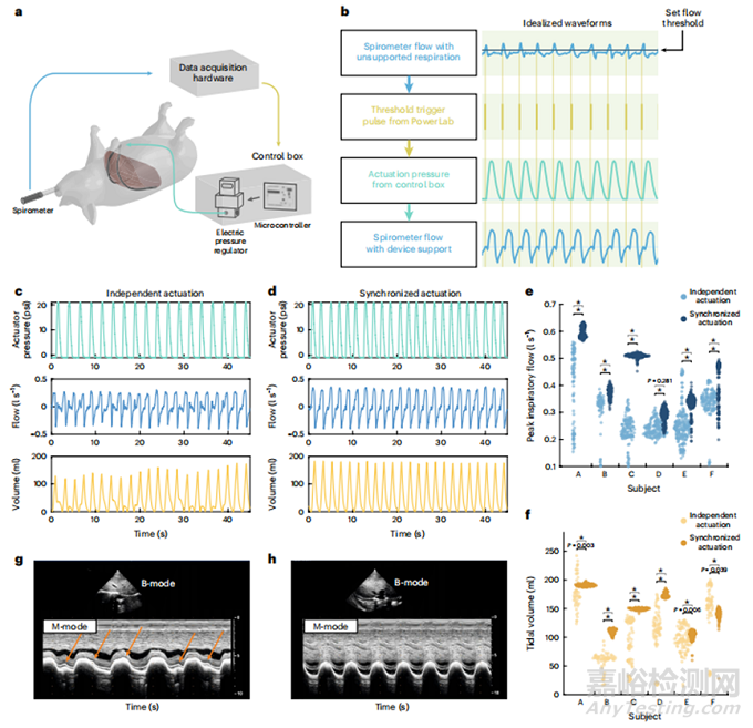 一種利用植入式軟體機器人改善呼吸功能不全的方法
