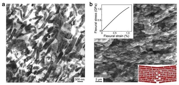 金屬所發(fā)明一種輕質(zhì)高強(qiáng)韌高阻尼鎂-MAX相仿生金屬陶瓷