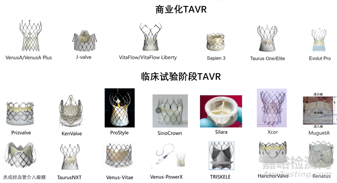 2022年結(jié)構(gòu)性心臟病醫(yī)療器械年度盤點(diǎn)