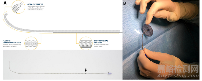 2022年結(jié)構(gòu)性心臟病醫(yī)療器械年度盤點(diǎn)