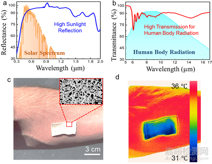 一款新型柔性、高透氣性、自粘附且可生物降解的氣凝膠基電子皮膚貼片用于實時連續(xù)檢測多種生物標記物水平