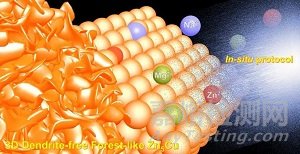 水系鋅離子電池界面材料研究中取得重要進展