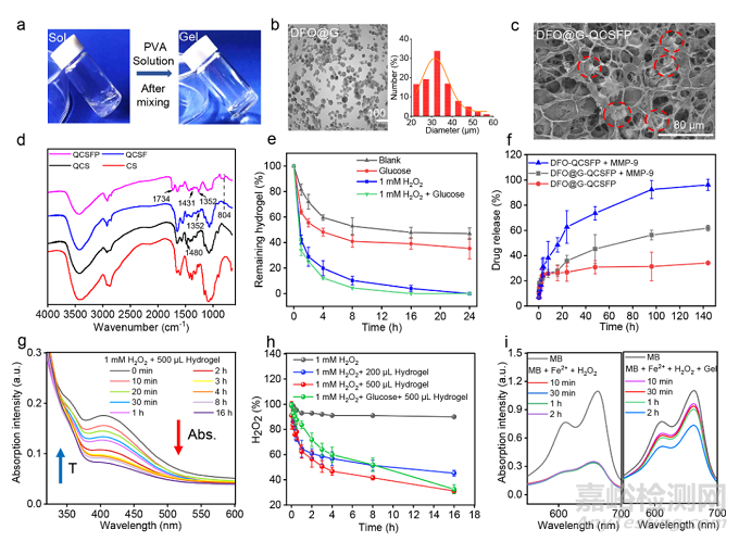 具有促進血管生成的糖尿病傷口微環(huán)境自適應(yīng)性水凝膠促進傷口愈合的研究