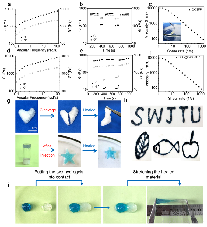具有促進血管生成的糖尿病傷口微環(huán)境自適應(yīng)性水凝膠促進傷口愈合的研究