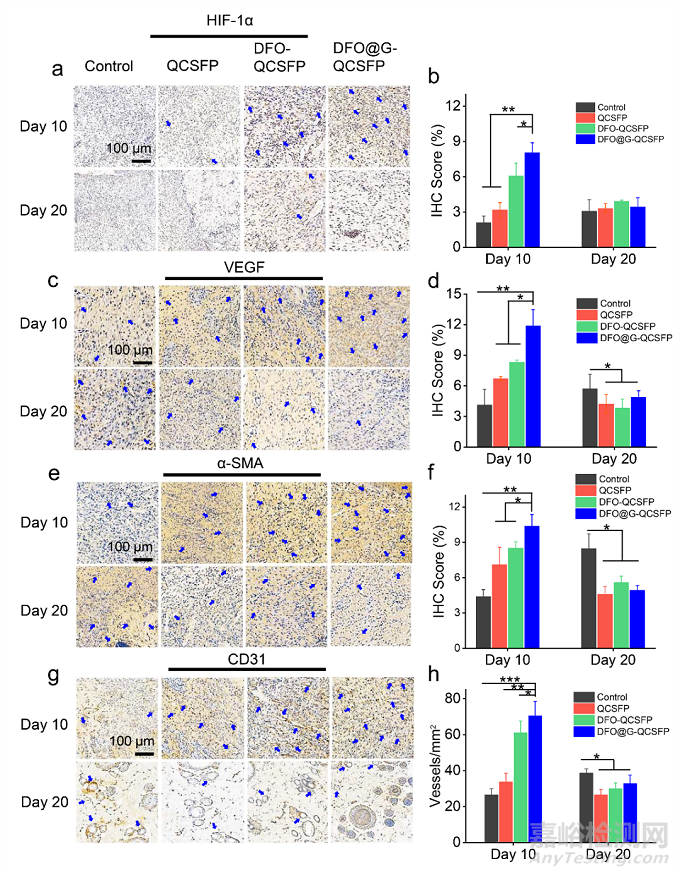 具有促進血管生成的糖尿病傷口微環(huán)境自適應(yīng)性水凝膠促進傷口愈合的研究