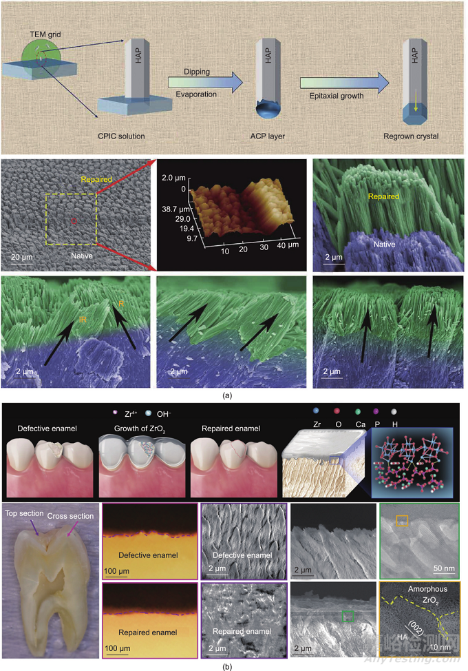 仿生牙釉質(zhì)材料的工程制造策略