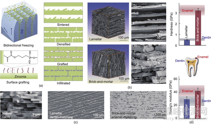 仿生牙釉質(zhì)材料的工程制造策略