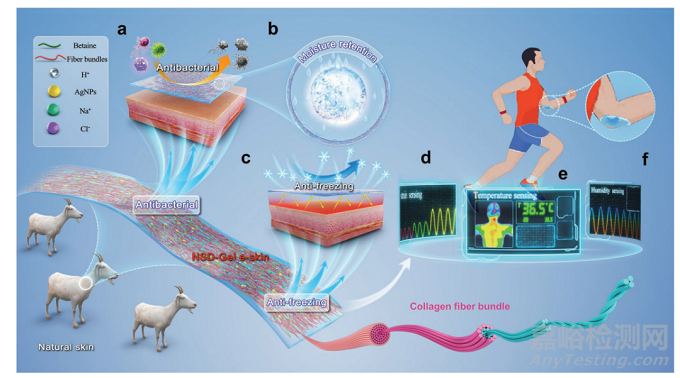 天然皮膚啟發(fā)的有機(jī)水凝膠電子皮膚