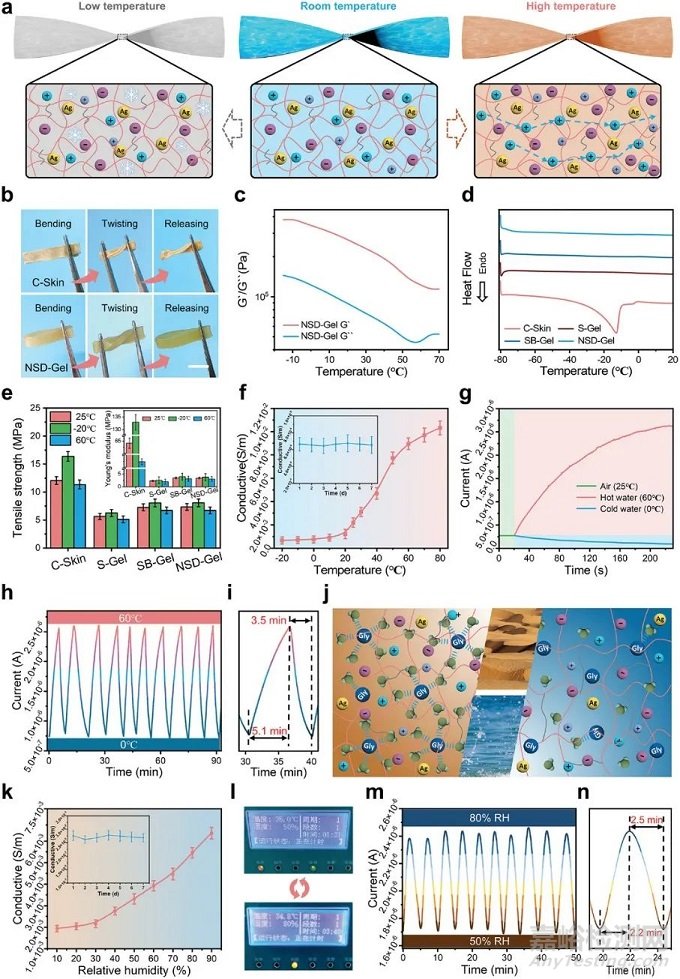 天然皮膚啟發(fā)的有機(jī)水凝膠電子皮膚
