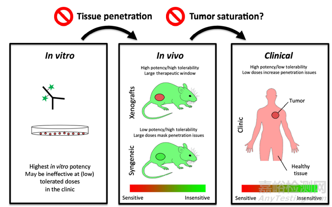 ?如何實(shí)現(xiàn)ADC藥物效應(yīng)最大化？