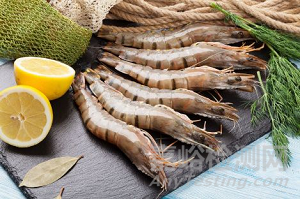 抗菌塑料及其應用研究進展