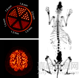中科院先進(jìn)院發(fā)布首臺高清晰磁兼容腦PET功能成像儀器