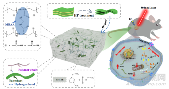 中科院開發(fā)可穿戴電刺激增強(qiáng)型光熱貼片用于黑色素瘤治療