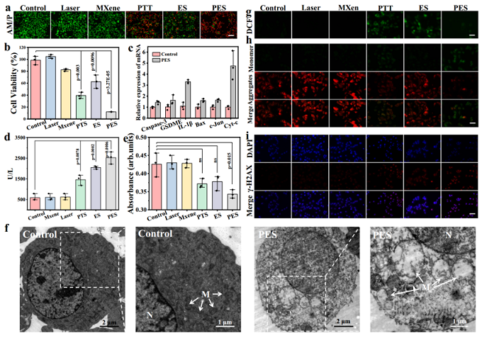 中科院開發(fā)可穿戴電刺激增強(qiáng)型光熱貼片用于黑色素瘤治療