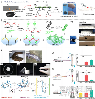先進功能水凝膠敷料的常用制備方法