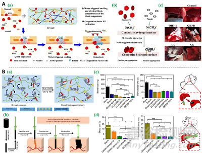 先進功能水凝膠敷料的常用制備方法