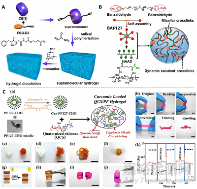 先進功能水凝膠敷料的常用制備方法
