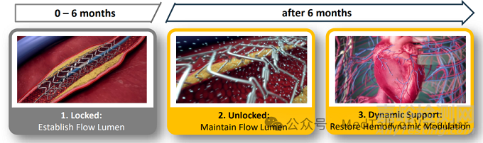 Elixir Medical公司正在研究的DynamX生物可吸收支架產(chǎn)品的技術(shù)特點
