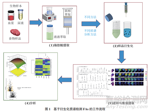 衍生化在脂肪酸質(zhì)譜分析中的應(yīng)用研究進(jìn)展