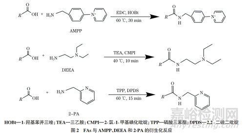 衍生化在脂肪酸質(zhì)譜分析中的應(yīng)用研究進(jìn)展