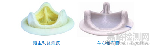 全球首個！Foldax Tria 聚合物二尖瓣獲印度 CDSCO 批準(zhǔn)，顛覆百年瓣膜治療格局