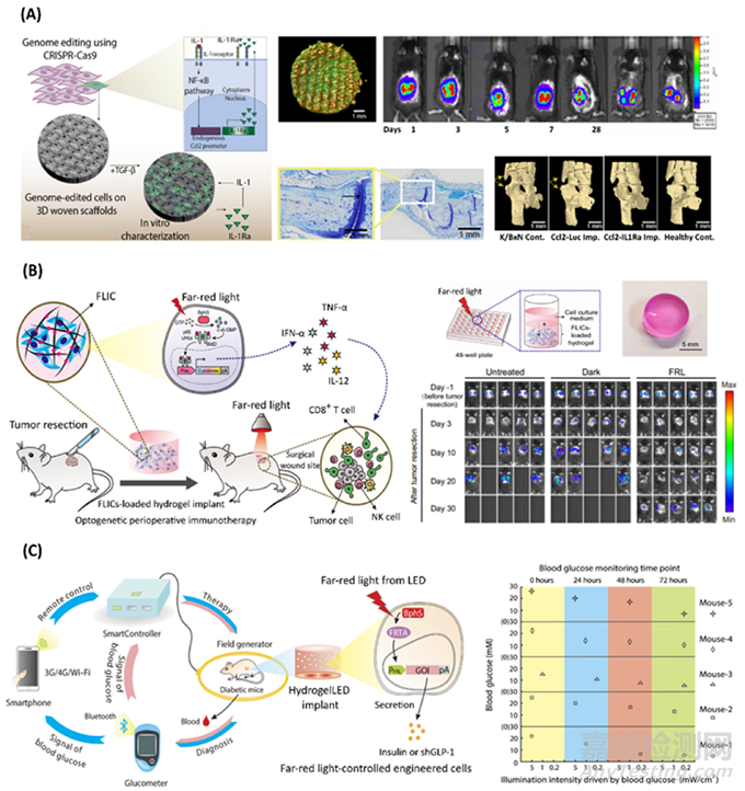 通過基因工程設計哺乳動物活體材料