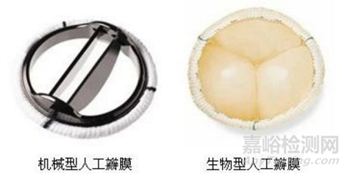 全球首款聚合物二尖瓣獲批上市