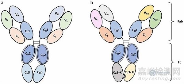 大腸桿菌中重組抗體的生產(chǎn)與表征