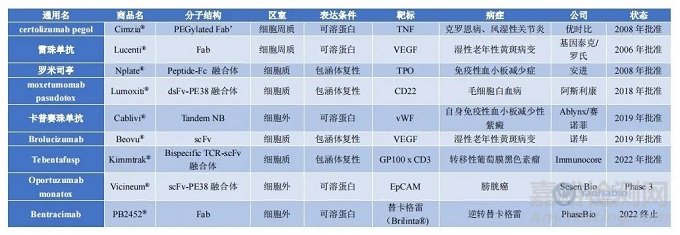 大腸桿菌中重組抗體的生產(chǎn)與表征