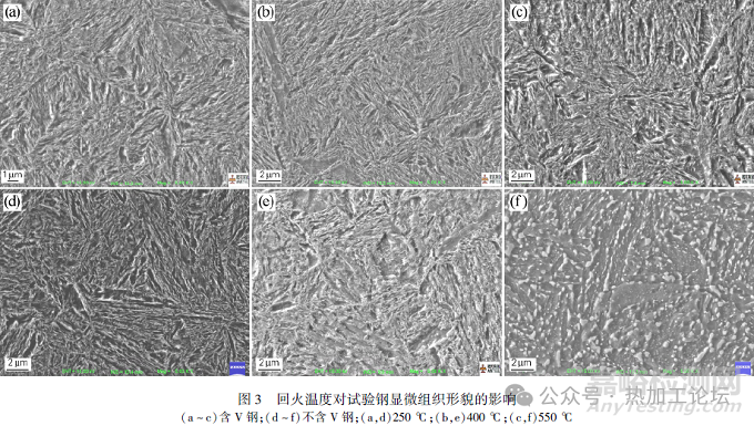 釩對過共析工具鋼組織與性能的影響