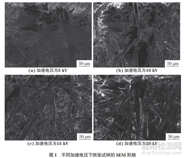 工作參數(shù)對(duì)紙張類(lèi)不導(dǎo)電試樣掃描電鏡圖像質(zhì)量的影響研究實(shí)驗(yàn)