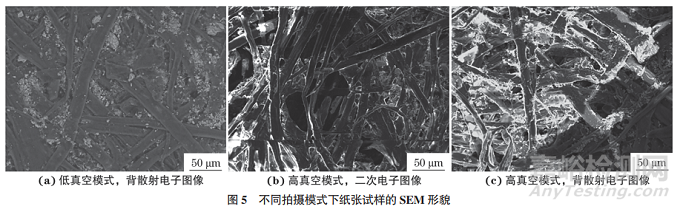工作參數(shù)對(duì)紙張類(lèi)不導(dǎo)電試樣掃描電鏡圖像質(zhì)量的影響研究實(shí)驗(yàn)