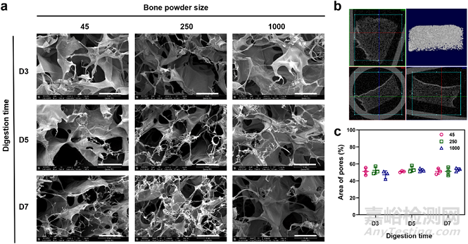 人骨組織來(lái)源的ECM水凝膠：通過(guò)工藝參數(shù)控制理化、生化和生物學(xué)特性