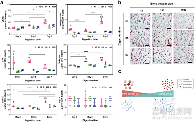 人骨組織來(lái)源的ECM水凝膠：通過(guò)工藝參數(shù)控制理化、生化和生物學(xué)特性