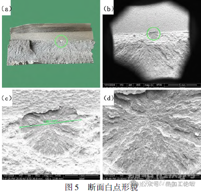 模具鋼鍛件白點缺陷分析與工藝改進