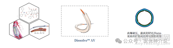血管介入特殊球囊技術(shù)解析