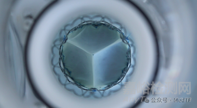 【創(chuàng)新醫(yī)械】AdultValve:由患者自身組織制備的生物瓣膜