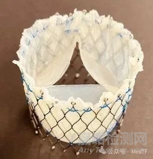 【創(chuàng)新醫(yī)械】AdultValve:由患者自身組織制備的生物瓣膜
