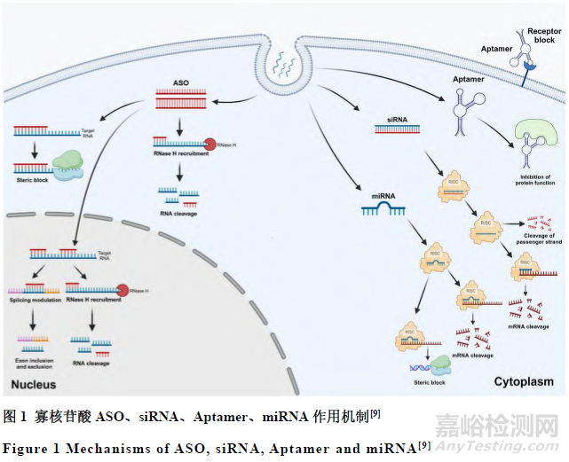 寡核苷酸藥物的質(zhì)控關(guān)鍵技術(shù)